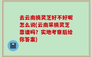 去云南摘灵芝好不好呢怎么说(云南采摘灵芝靠谱吗？实地考察后给你答案)