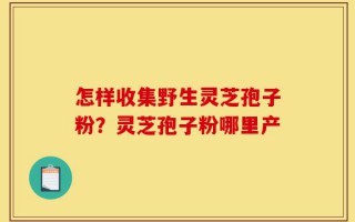 怎样收集野生灵芝孢子粉？灵芝孢子粉哪里产