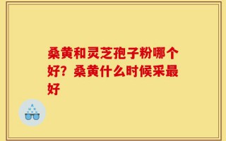 桑黄和灵芝孢子粉哪个好？桑黄什么时候采最好