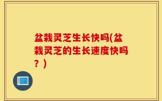 盆栽灵芝生长快吗(盆栽灵芝的生长速度快吗？)