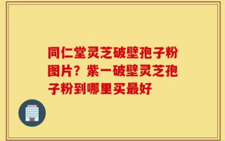 同仁堂灵芝破壁孢子粉图片？紫一破壁灵芝孢子粉到哪里买最好