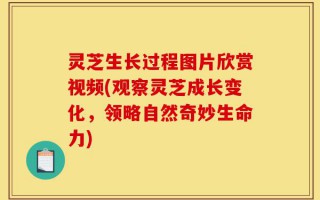 灵芝生长过程图片欣赏视频(观察灵芝成长变化，领略自然奇妙生命力)