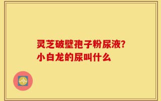 灵芝破壁孢子粉尿液？小白龙的尿叫什么