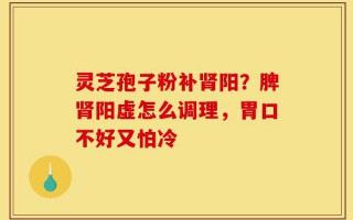灵芝孢子粉补肾阳？脾肾阳虚怎么调理，胃口不好又怕冷