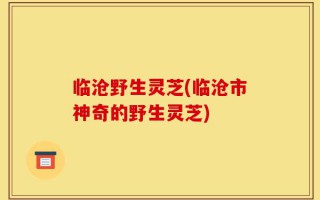 临沧野生灵芝(临沧市神奇的野生灵芝)