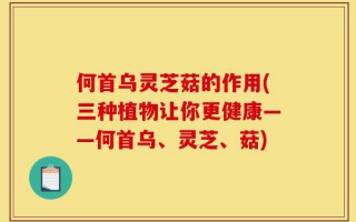 何首乌灵芝菇的作用(三种植物让你更健康——何首乌、灵芝、菇)