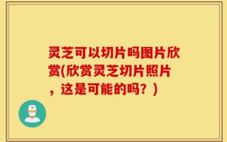灵芝可以切片吗图片欣赏(欣赏灵芝切片照片，这是可能的吗？)