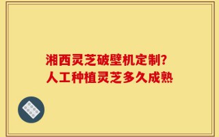 湘西灵芝破壁机定制？人工种植灵芝多久成熟
