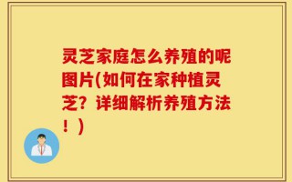 灵芝家庭怎么养殖的呢图片(如何在家种植灵芝？详细解析养殖方法！)