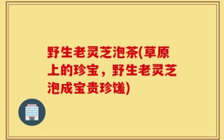 野生老灵芝泡茶(草原上的珍宝，野生老灵芝泡成宝贵珍馐)