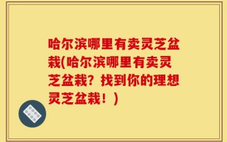 哈尔滨哪里有卖灵芝盆栽(哈尔滨哪里有卖灵芝盆栽？找到你的理想灵芝盆栽！)