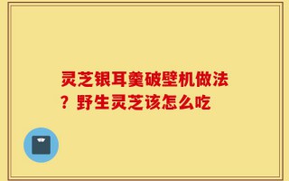 灵芝银耳羹破壁机做法？野生灵芝该怎么吃