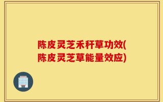 陈皮灵芝禾秆草功效(陈皮灵芝草能量效应)