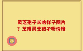 灵芝孢子长啥样子图片？芝甫灵芝孢孑粉价格