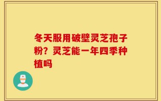 冬天服用破壁灵芝孢子粉？灵芝能一年四季种植吗