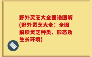 野外灵芝大全图谱图解(野外灵芝大全：全图解读灵芝种类、形态及生长环境)