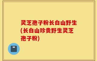 灵芝孢子粉长白山野生(长白山珍贵野生灵芝孢子粉)