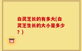 白灵芝长的有多大(白灵芝生长的大小是多少？)