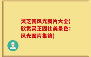 灵芝园风光图片大全(欣赏灵芝园壮美景色：风光图片集锦)