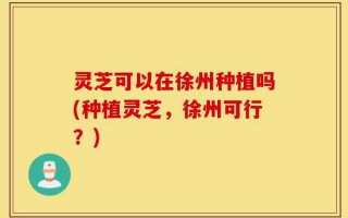 灵芝可以在徐州种植吗(种植灵芝，徐州可行？)