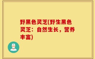 野黑色灵芝(野生黑色灵芝：自然生长，营养丰富)