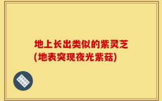 地上长出类似的紫灵芝(地表突现夜光紫菇)