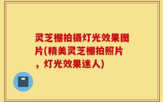 灵芝棚拍摄灯光效果图片(精美灵芝棚拍照片，灯光效果迷人)