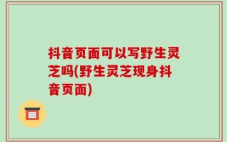 抖音页面可以写野生灵芝吗(野生灵芝现身抖音页面)