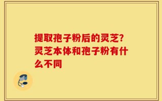 提取孢子粉后的灵芝？灵芝本体和孢子粉有什么不同