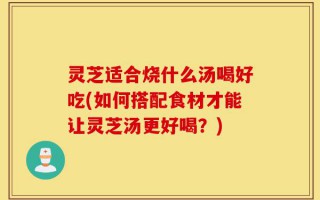 灵芝适合烧什么汤喝好吃(如何搭配食材才能让灵芝汤更好喝？)