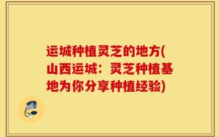 运城种植灵芝的地方(山西运城：灵芝种植基地为你分享种植经验)