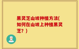 黑灵芝山坡种植方法(如何在山坡上种植黑灵芝？)