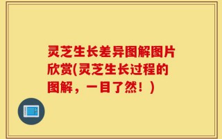灵芝生长差异图解图片欣赏(灵芝生长过程的图解，一目了然！)