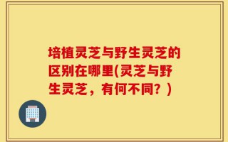 培植灵芝与野生灵芝的区别在哪里(灵芝与野生灵芝，有何不同？)