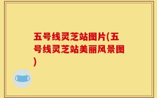 五号线灵芝站图片(五号线灵芝站美丽风景图)
