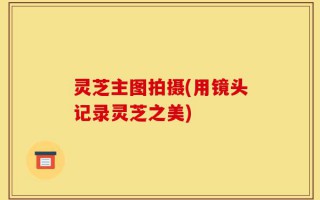 灵芝主图拍摄(用镜头记录灵芝之美)