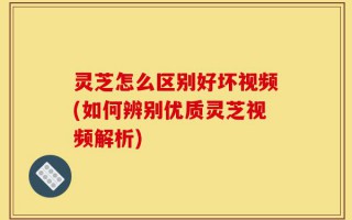 灵芝怎么区别好坏视频(如何辨别优质灵芝视频解析)