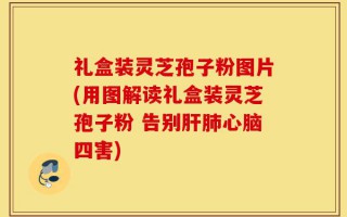 礼盒装灵芝孢子粉图片(用图解读礼盒装灵芝孢子粉 告别肝肺心脑四害)