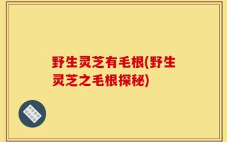 野生灵芝有毛根(野生灵芝之毛根探秘)