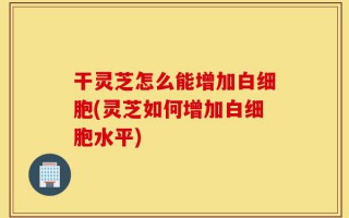 干灵芝怎么能增加白细胞(灵芝如何增加白细胞水平)