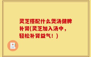 灵芝搭配什么煲汤健脾补肾(灵芝加入汤中，轻松补肾益气！)