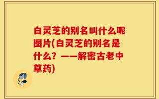 白灵芝的别名叫什么呢图片(白灵芝的别名是什么？——解密古老中草药)
