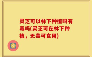 灵芝可以林下种植吗有毒吗(灵芝可在林下种植，无毒可食用)
