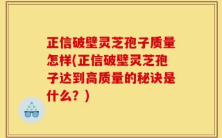 正信破壁灵芝孢子质量怎样(正信破壁灵芝孢子达到高质量的秘诀是什么？)