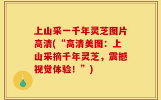 上山采一千年灵芝图片高清(“高清美图：上山采摘千年灵芝，震撼视觉体验！”)