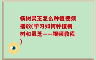 杨树灵芝怎么种植视频播放(学习如何种植杨树和灵芝——视频教程)