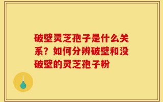 破壁灵芝孢子是什么关系？如何分辨破壁和没破壁的灵芝孢子粉