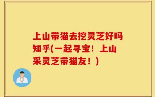 上山带猫去挖灵芝好吗知乎(一起寻宝！上山采灵芝带猫友！)