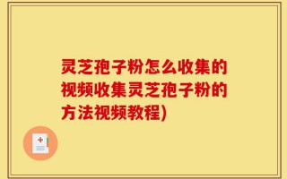 灵芝孢子粉怎么收集的视频收集灵芝孢子粉的方法视频教程)