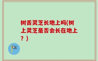 树舌灵芝长地上吗(树上灵芝是否会长在地上？)